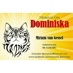 Trimsalon Dominiska logo