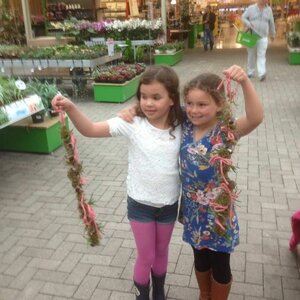 Praxis Doe-het-zelf Center B.V. image 1