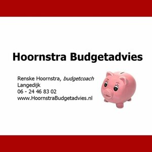 Hoornstra Budgetadvies image 1