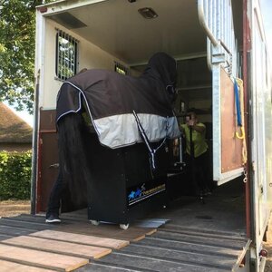 Pensionstal-Stoeterij Sprenkeling image 1