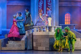 De Kleine Zeemeermin De Musical bij het Zaantheater