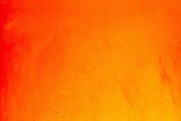 Sportbedrijf Zaanstad organiseert Koningsspelen met 14 swingende basisscholen