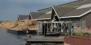 Koeien in de boot en bloemen voor weidevogels