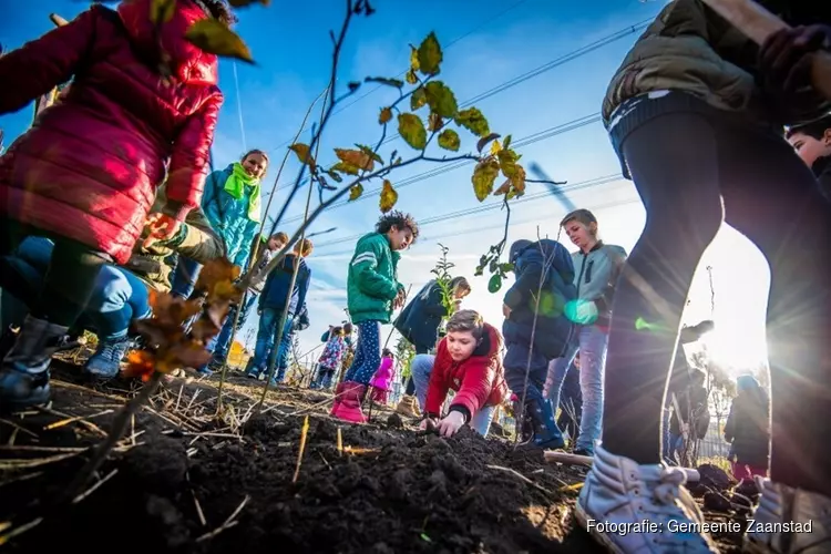 Zaanstad is partnergemeente Tiny Forest