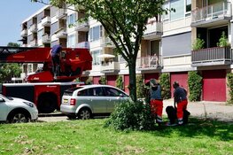 Hond gered van snikheet balkon