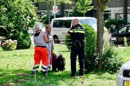 Hond gered van snikheet balkon