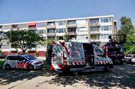 Hond gered van snikheet balkon