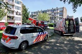 Hond gered van snikheet balkon