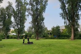 Scooter in brand in Darwinpark