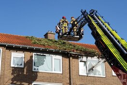 Boom op wooncomplex Krommenie