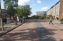 Boom op wooncomplex Krommenie