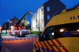 Twee katten overleden bij brand Krommenie