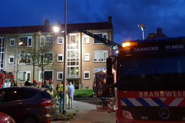 Twee katten overleden bij brand Krommenie