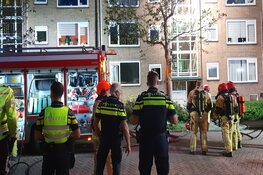 Twee katten overleden bij brand Krommenie