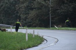 Overval op tankstation in Zaandam: viertal na achtervolging opgepakt op A10