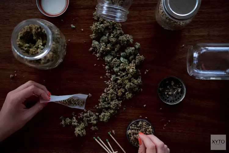 Zaanstad doet mee aan wietproef: coffeeshops krijgen drugs van de staat