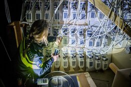 Hennepkwekerij ontdekt na brand meterkast