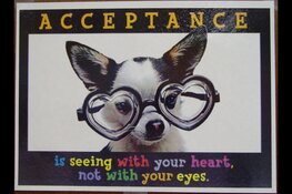 Loslaten voor ‘nieuw leven’