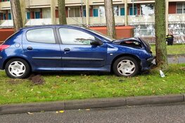 Auto tegen boom in Zaandam