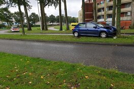 Auto tegen boom in Zaandam