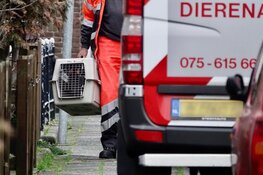 Buren waarschuwen brandweer net op tijd