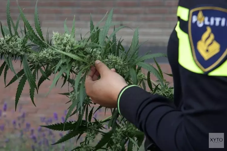 Pand twaalf maanden dicht na aantreffen hennepkwekerij