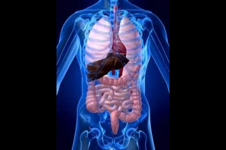 In één dag Gezond van Mond tot Kont