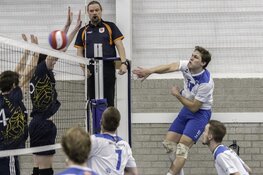 Compaen volwassen naar winst