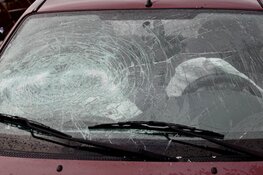 Automobiliste gecrasht in Zaandam