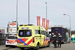 Botsing tussen auto en paardenvervoer