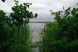 Burgemeester Oostzaan stuurt recreanten Het Twiske naar huis