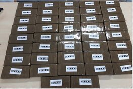 Drugshond vindt twintig kilo heroïne in verborgen ruimte woning Zaandam