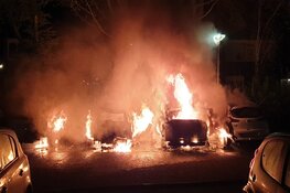 Meerdere auto's beschadigd door brand