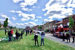 Cavia&#39;s gered bij brand