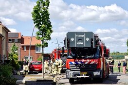 Cavia&#39;s gered bij brand