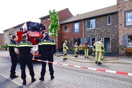 Cavia&#39;s gered bij brand