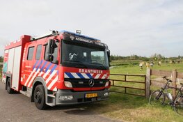 Paard uit sloot bevrijd in Westzaan