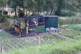 Twee brandstichtingen in Zaandam