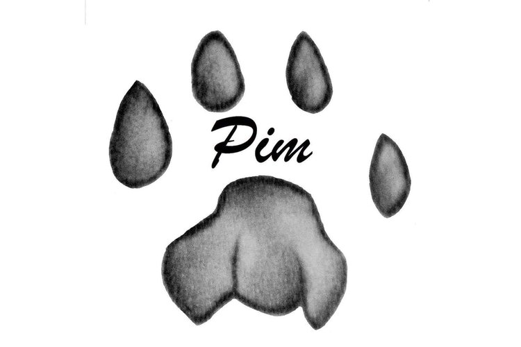 Nieuwe extra mogelijkheden voor les bij Pim Hondenopvoeding