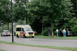 Auto knalt hard tegen boom in Krommenie