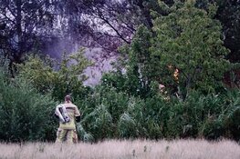 Veel rook door brandende hut in Oostzaan