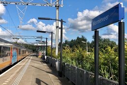 Opnieuw een treintoestel beklad met graffiti bij station Wormerveer