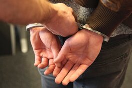 Man aangehouden voor diefstal met geweld