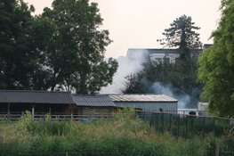 Fikse brand legt garageboxen in Zaandam in de as