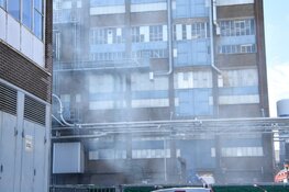 Brand door broei bij cacaofabriek Zaandijk