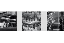 Grote buitenexpositie IFIKZ vrijdag 2 oktober van start