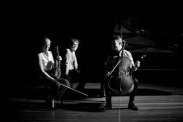 Het Mosa Trio speelt op zaterdag 17 oktober in de Vermaning in Zaandam