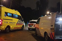 Auto tegen boom gereden in Zaandam