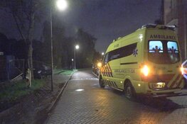Auto tegen boom gereden in Zaandam