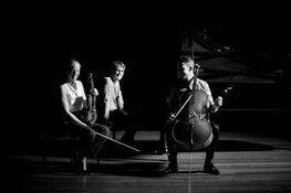 17 oktober Nieuwe Huys Concert met Mosa Trio